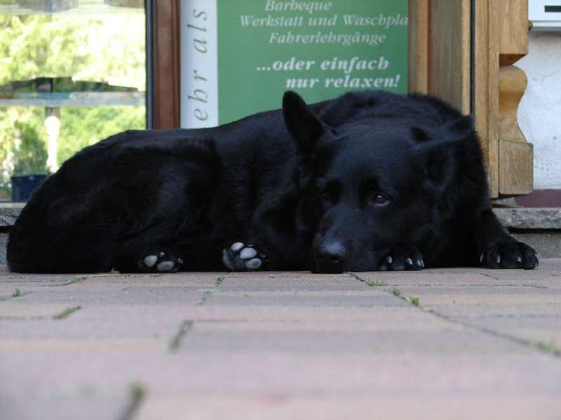 ...oder einfach nur relaxen!
