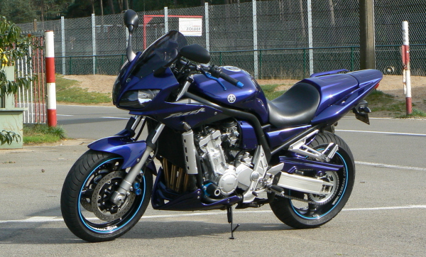 FZS 1000