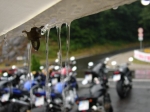Eifelwetter 2